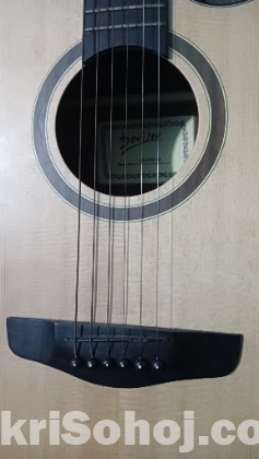 Guitar-(DEVIJER L-570-40)